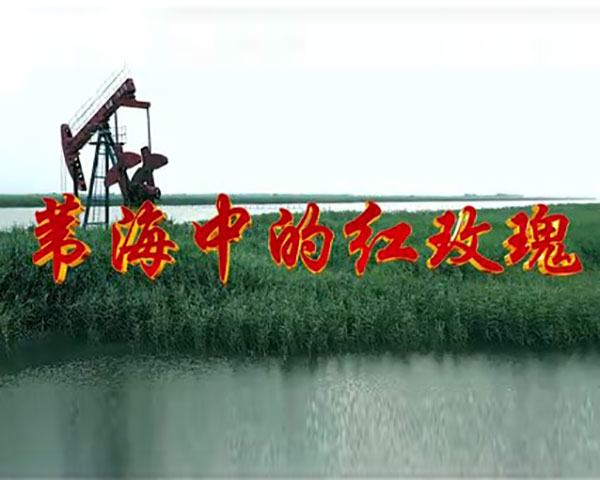 【公益宣傳片】《葦海中的紅玫瑰》